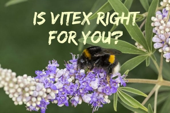New on the blog: Does Vitex work for your hormones &amp; fertility? #fixyourperiod #vitex bit.ly/29kNMvV