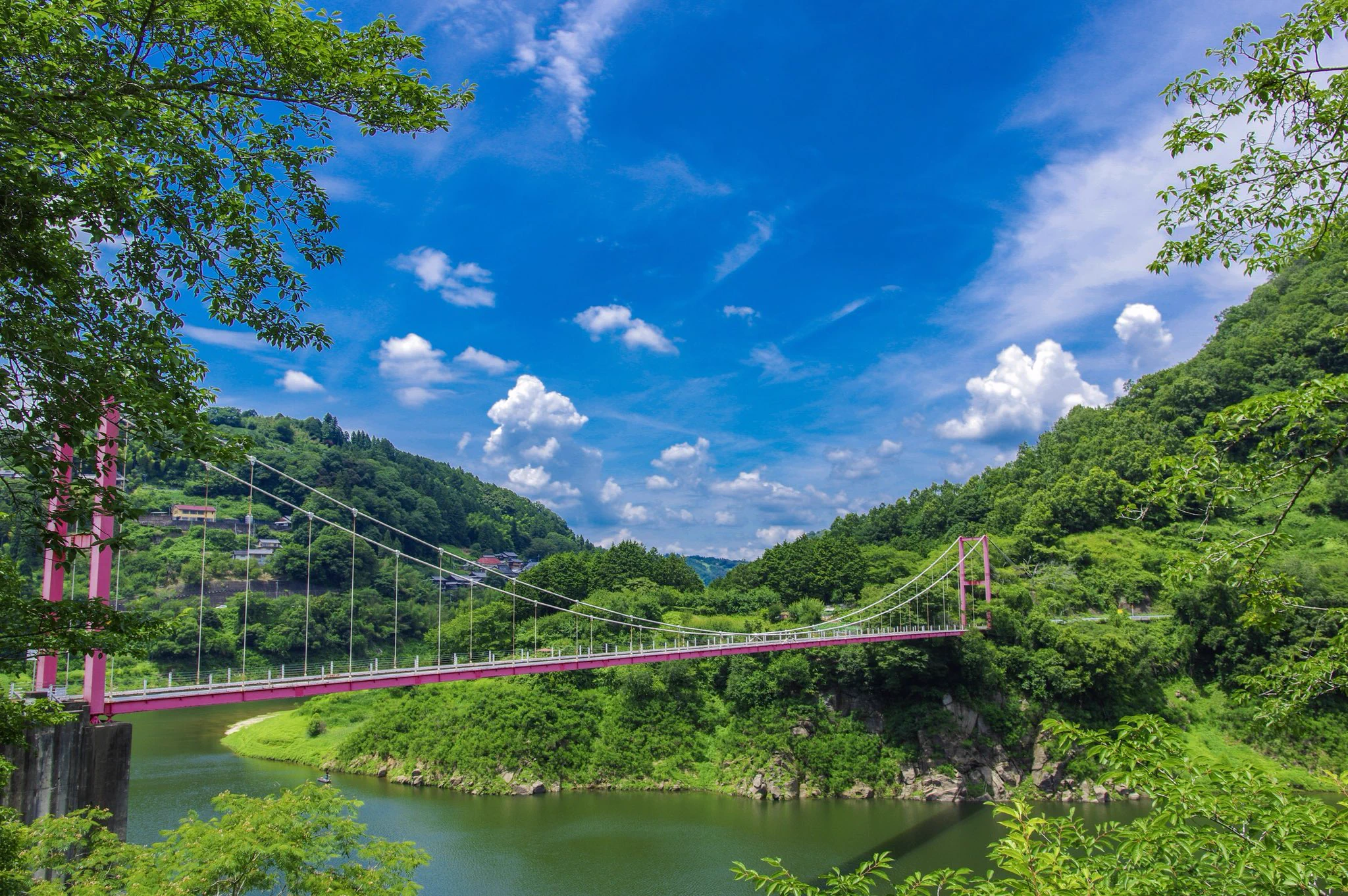 綺麗な風景写真を撮るなら？デジタルカメラのPENTAXで撮られた緑は美しい♪