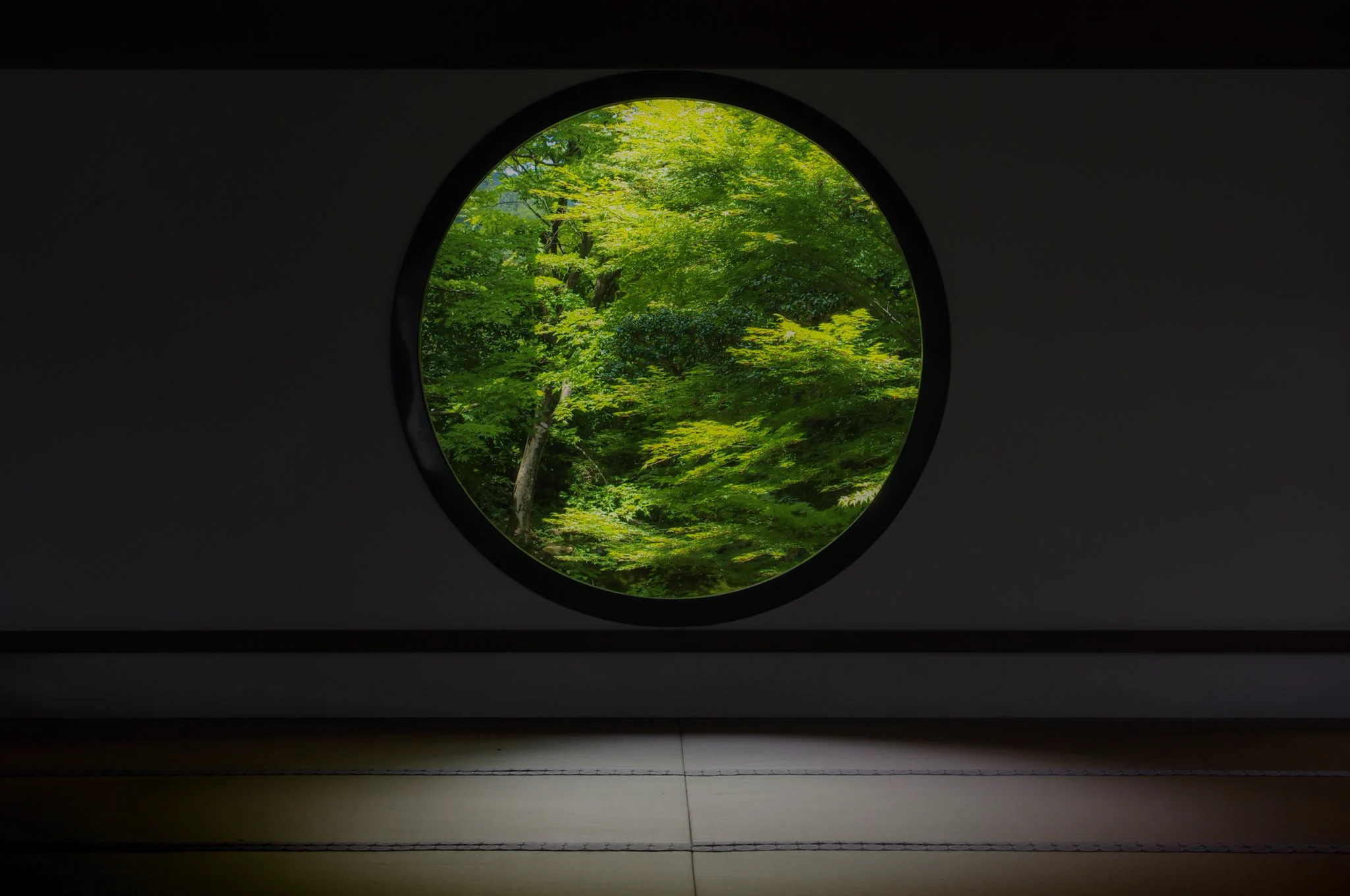 綺麗な風景写真を撮るなら？デジタルカメラのPENTAXで撮られた緑は美しい♪