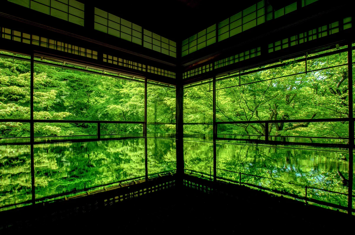 綺麗な風景写真を撮るなら？デジタルカメラのPENTAXで撮られた緑は美しい♪