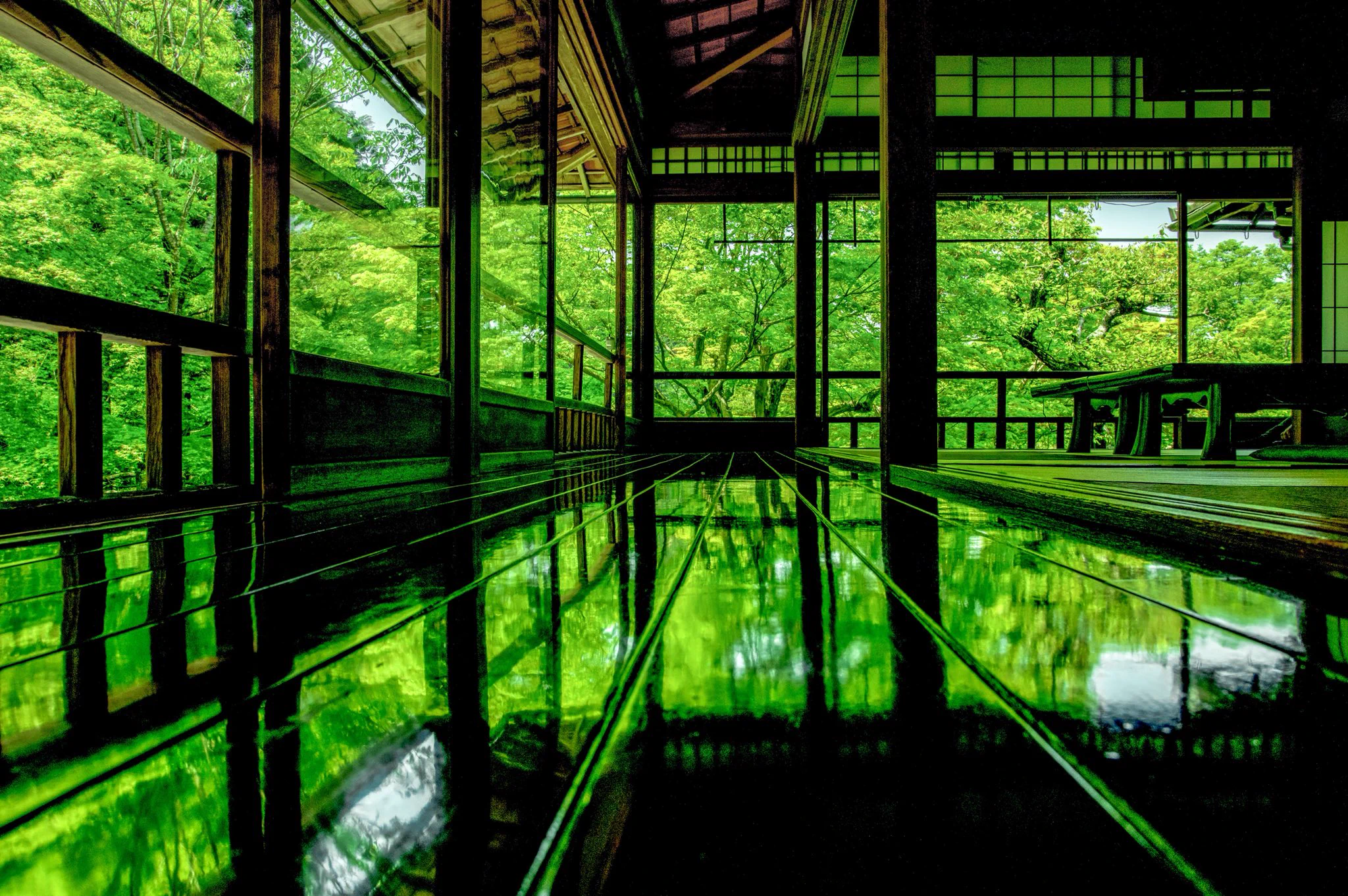 綺麗な風景写真を撮るなら？デジタルカメラのPENTAXで撮られた緑は美しい♪