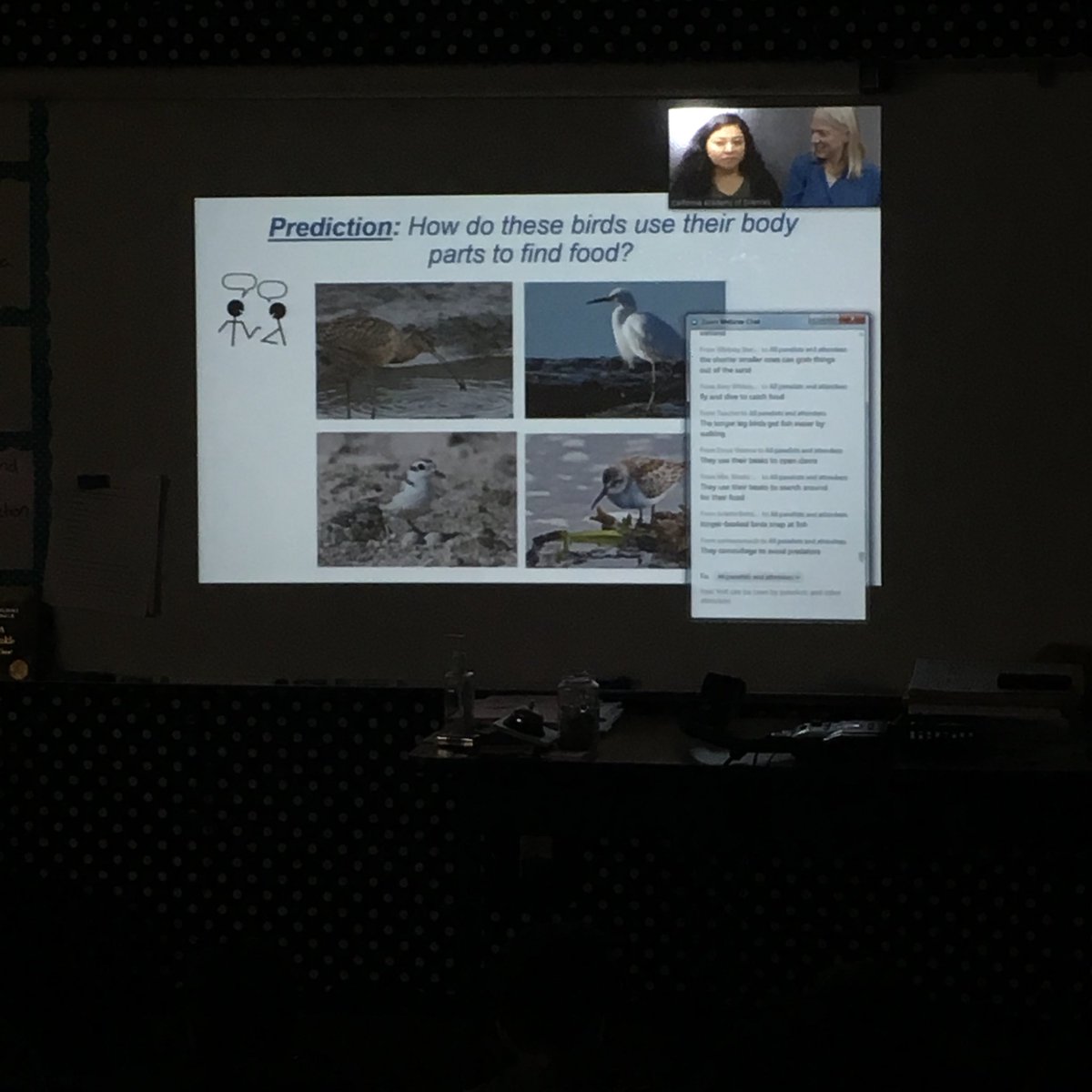 4th grade students participating in a virtual “field trip”  or live presentation from the California Academy of Science. The focus was on identifying bird adaptations and feeding strategies in different habitats. #explorescience