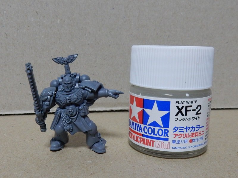 ウォーハンマーのミニチュア塗ってみました。 シタデルカラーは使わず