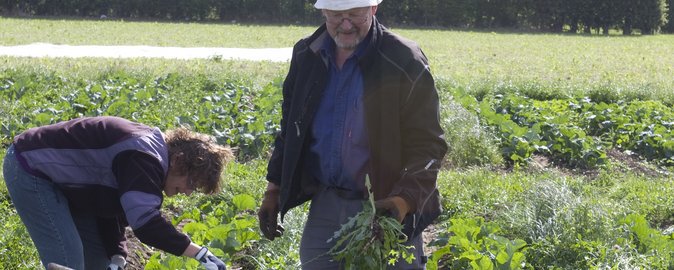 Vieltien's tweet photo. Excited to start our #COREOrganic project SUREVEG: strip-cropping and recycling of waste for biodiverse and resource-efficient intensive vegetable production! We're willing to improve sustainability and soil carbon storage https://t.co/HOajE7VZyL @ale_trinchera @CREA_Ricerca https://t.co/bJ9Dxzgy0u