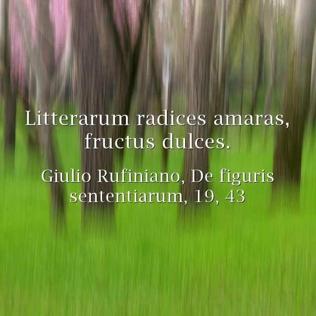 DavideWaterlive's tweet photo. La conoscenza richiede grandi sforzi, tempo e dedizione, ma la fatica è poi ben ripagata: la cultura è un dolce frutto che ha radici amare https://t.co/cRjYFtTIOW