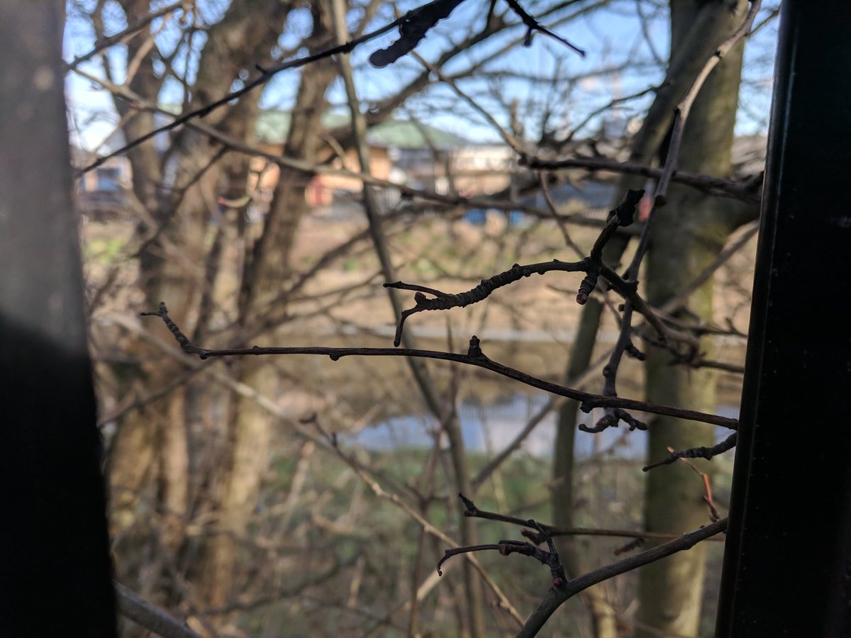 DanRavenEllison's tweet photo. Walking across #Walthamstow Marshes to get to an interview with @RamblersGB about good walkable neighbourhoods.  #NationalParkCity https://t.co/BZnnVUPITW