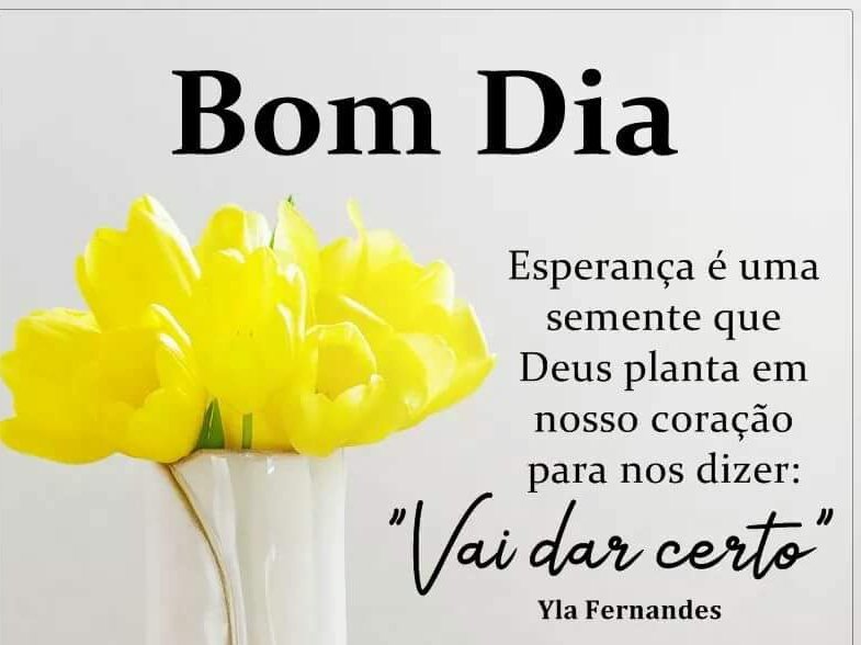 SANDROMENDESAFO's tweet image. 