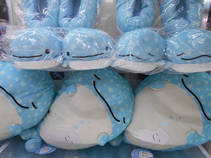 公式 じんべえさんさん の最近のツイート 9 Whotwi グラフィカルtwitter分析