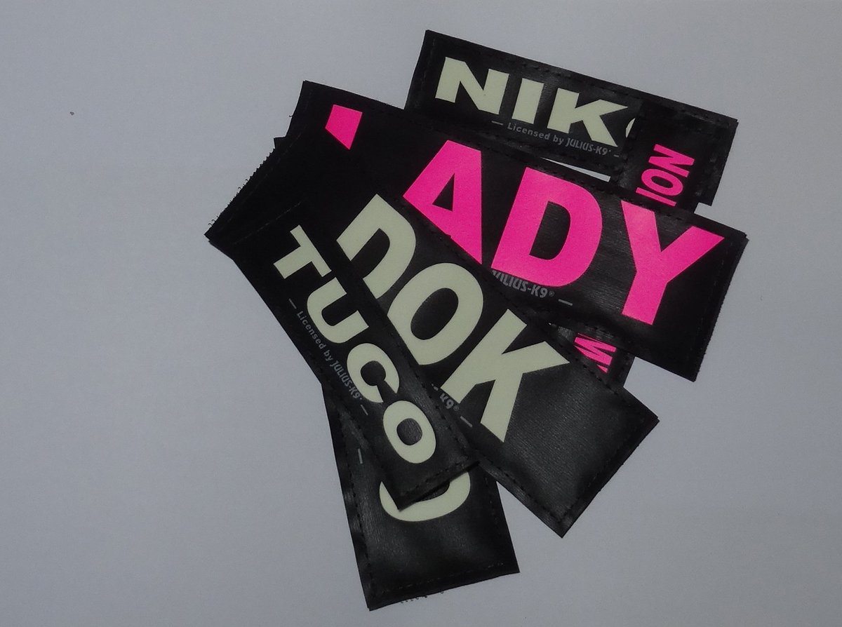 JuliusK9es's tweet image. Tenemos dos nuevos colores para personalizar los logos, Rosa Neón y Luminiscente para que brille como se merece tu arnés.
¿Cual prefieres?
 ow.ly/25af30ieXmW