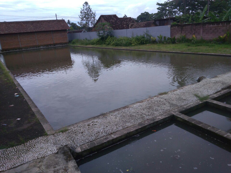 SemyArayunedya's tweet photo. Perencanaan BUMDes Pakiskembar. Meningkatkan kapasitas para pemangku kepentingan di desa untuk dapat menggerakkan sekaligus memetakan kelayakan unit usaha. Kolam ikan di sebelah kantor desa sebagai salah satu alternatif unit usaha.
#ManfaatDanaDesa
#tppijawatimur
#tppimalang https://t.co/1qG5Zxp4yG