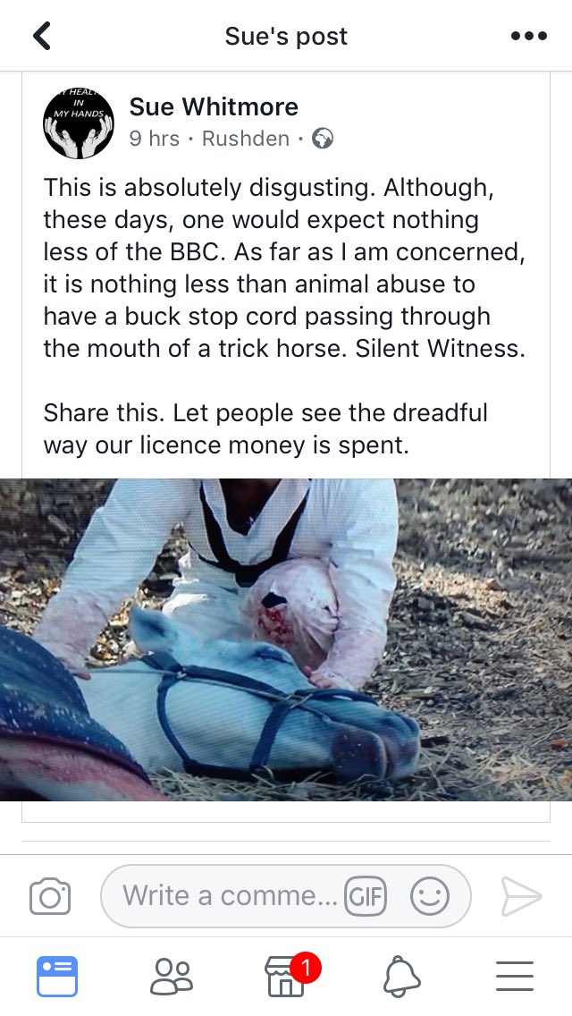 ABeautyRev's tweet photo. @BBC #SilentWitness #animalcruelty. Poor pony was clearly in distress. If you insist on using animals in a drama; ensure you’re ethical with your trainers! Disgraceful. https://t.co/L0Hscyv1y4
