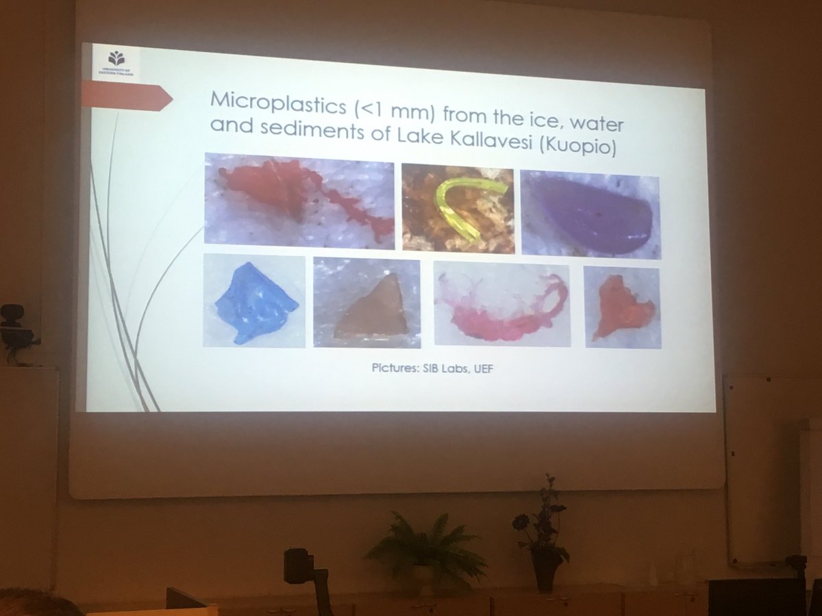 markokiema's tweet photo. Mitä ihmettä me tehdään tän kaiken muoviroskan kanssa? #Mikroplastik @ramboll_fi https://t.co/edBWz4kxdc