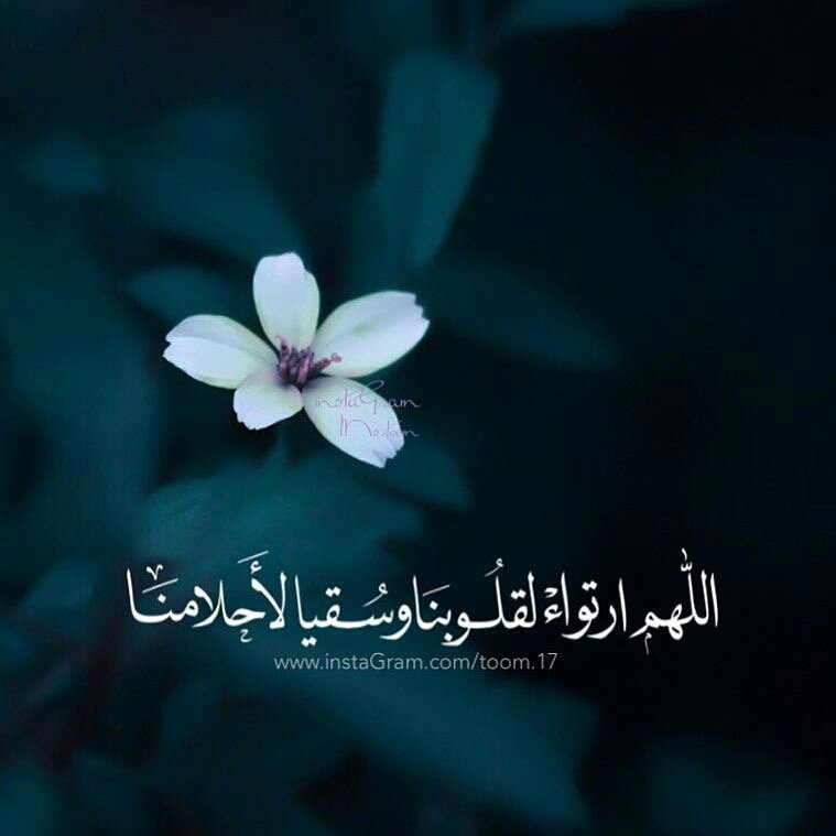 Muhammadalsa61's tweet photo. https://t.co/w54ez7xKs6