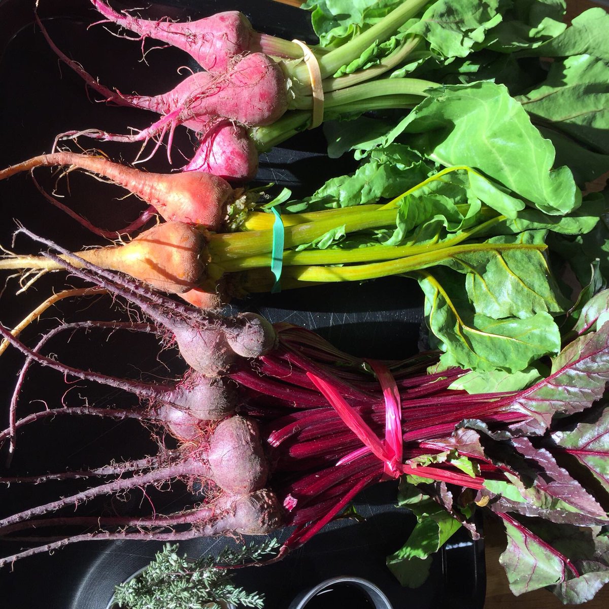 AbingerCookery's tweet photo. Beautiful beetroot 😊
#beetroot #freshproduce #farmshop #buylocal #packedwithnutrients #sogoodforyou #cookerycourse👩🏼🍳 #cookiteatit #cooking👨🍳 #abingercookeryschool #cookeryschool #masterchef #food #foodie #abinger #abingerhammer #dorking #surrey #surreyhills #guildford https://t.co/l5NZ0ChoKX