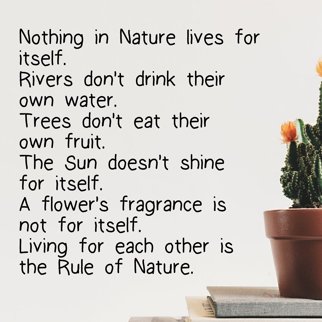 Meditazione_Mi's tweet photo. Nulla nel Mondo della Natura vive per se stesso.
I fiumi non bevono la loro stessa acqua.
Gli alberi non mangiano i propri frutti.
Il sole non brilla per se stesso.
Un fiore non profuma per se stesso.
Vivere gli uni per gli altri è la legge della Natura.
#liveforeachother #frasi https://t.co/rupK9qu4qh