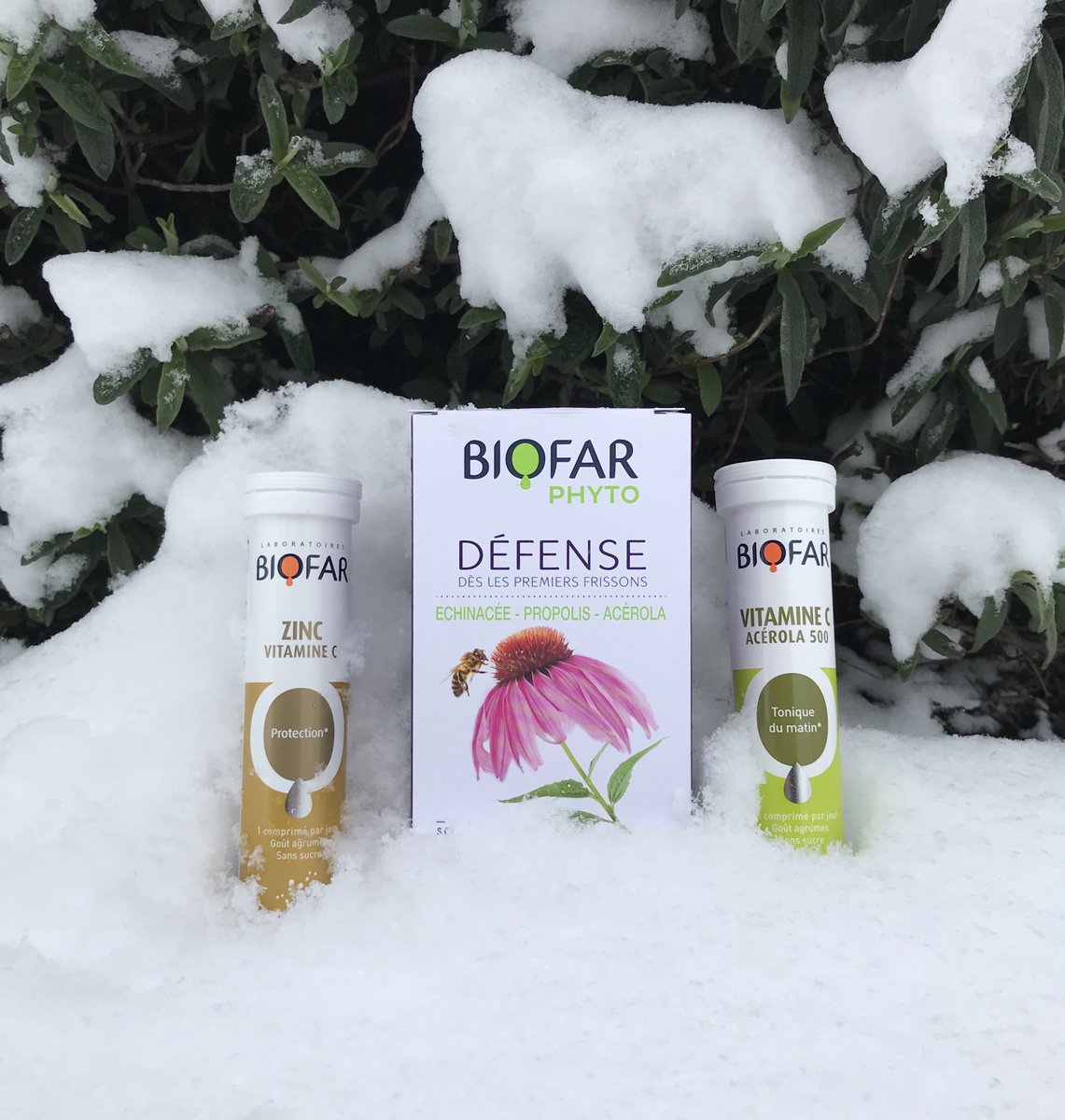 BiofarLab's tweet image. Parce que nous ne sommes jamais assez protégés pendant l’hiver ! #zinc #vitaminec #acerola #vitaminc #défense #defence #echinacea #echinacee #propolis #winter #hiver #snow #neige #protection #vitamines #vitamins #mineraux #minerals #sanssucre #sugarfree #biofar #biofarlab
