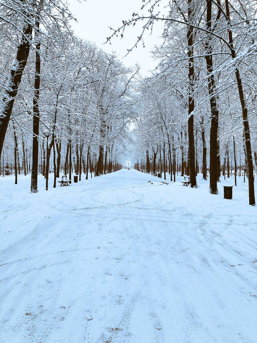 TommyBrodka_'s tweet photo. Reims sous la neige #neige2018 #reims https://t.co/HIeAg0cY5i