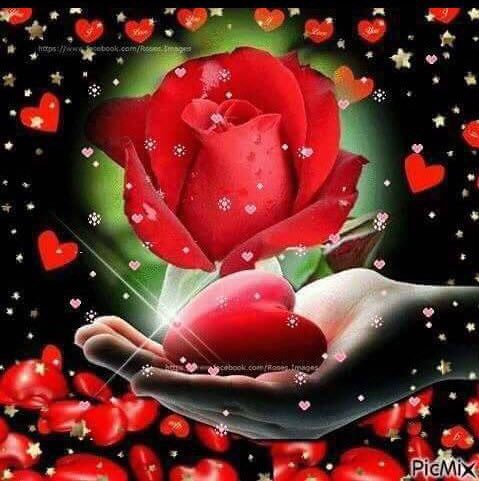 <a href="/Alvarez87943541/">@ALVAREZ 👸🏼</a> 👍🌹😊