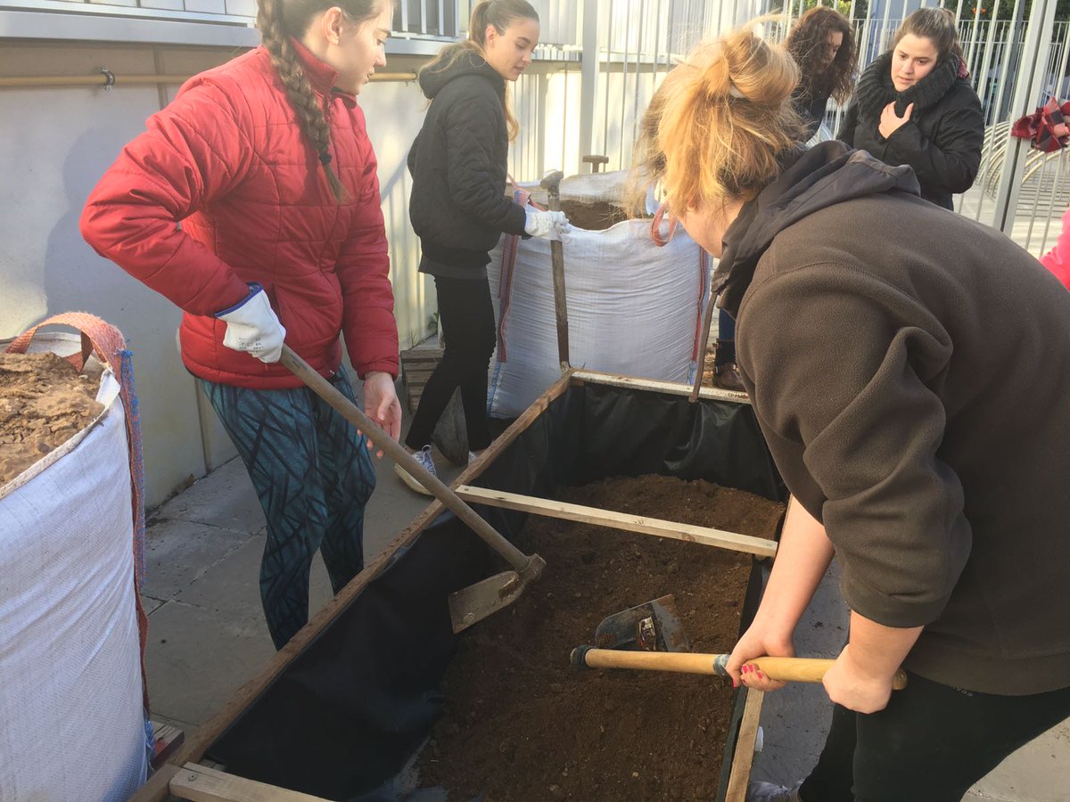 Los amigos <a href="/USVerde/">Sostenibilidad_US</a> nos envían los preparativos de los #HuertosUrbanos en la Facultad de Ciencias de la Educación ¿Has conseguido plaza? 😊🌽🥕#agricultura