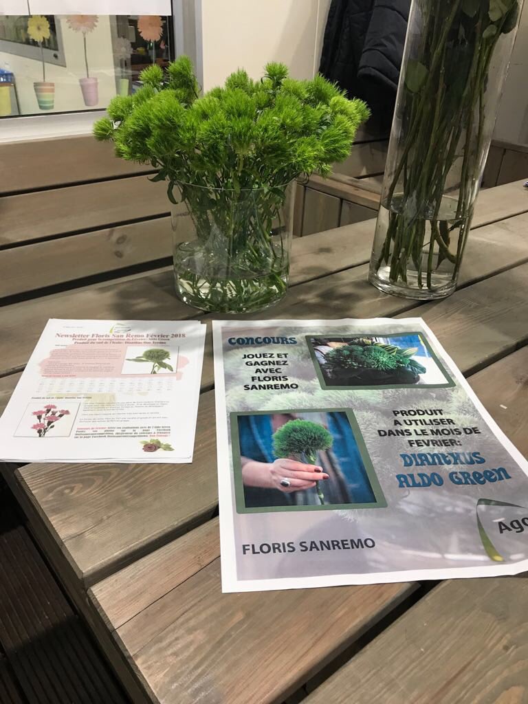 floris_sanremo's tweet photo. Competition de février #aldogreen á @floriscotedazur #florissanremocompetitions #florissanremo #agoragroup https://t.co/HWf2OAgLgf