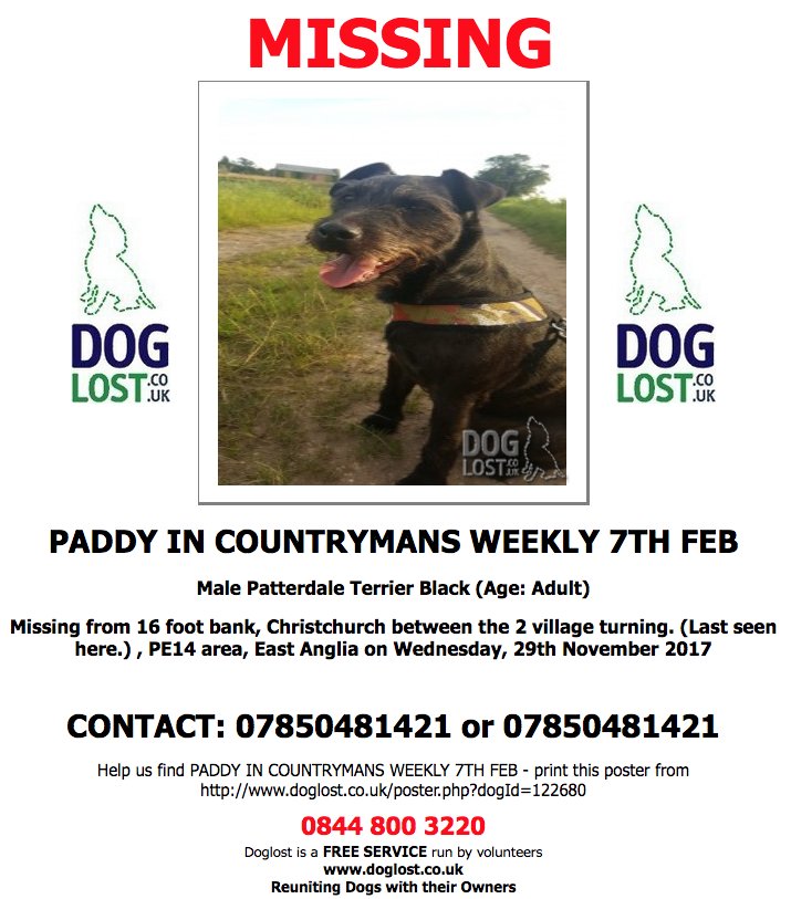 DogLostUK tweet picture