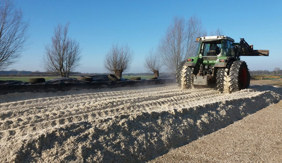 boerinhendrika's tweet photo. Landbouwhuisdieren zijn verwerkers van restproducten uit de levensmiddelenindustrie. #Perspulp (restproduct suikerraffinage): lekker voer voor onze melkkoeien. Morgen komt er een laag aardappelvezels overheen. https://t.co/ewGJPhyLSL