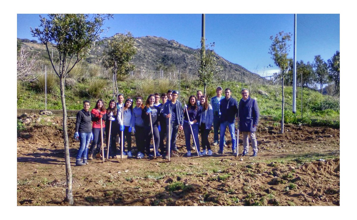 🌳 500 piante, una squadra di giovani, una #Sardegna da far rifiorire senza più paura degli incendi. Continua la piantumazione del bosco Sardex ad #Arbus! Grazie ragazzi, solo stando insieme si può rinascere!🌱
➡️Come abbiamo iniziato questa avventura: sardex.net/sardex-dona-pi…