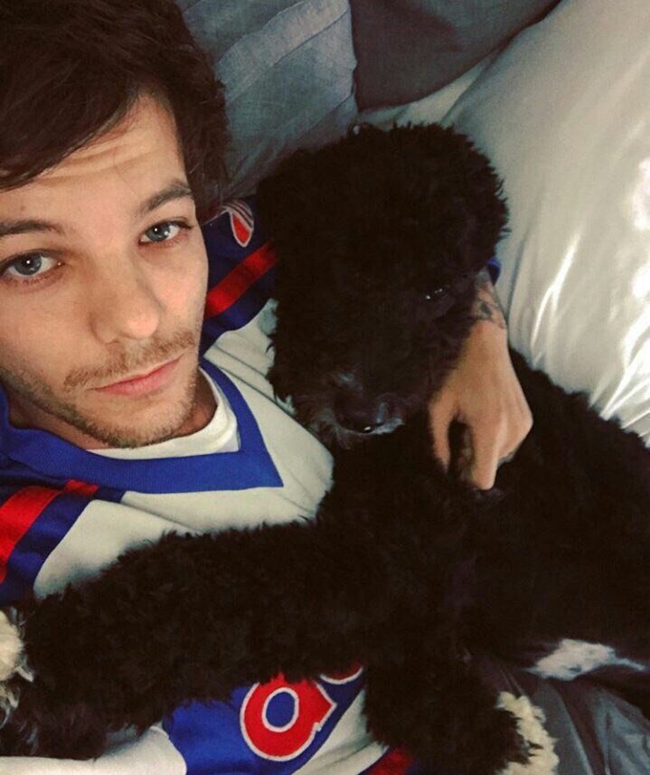 Doliana8's tweet photo. Как жить, когда уже 2018, а One Direction еще не вернулись? Аааааааа https://t.co/gXgZYs7mg2