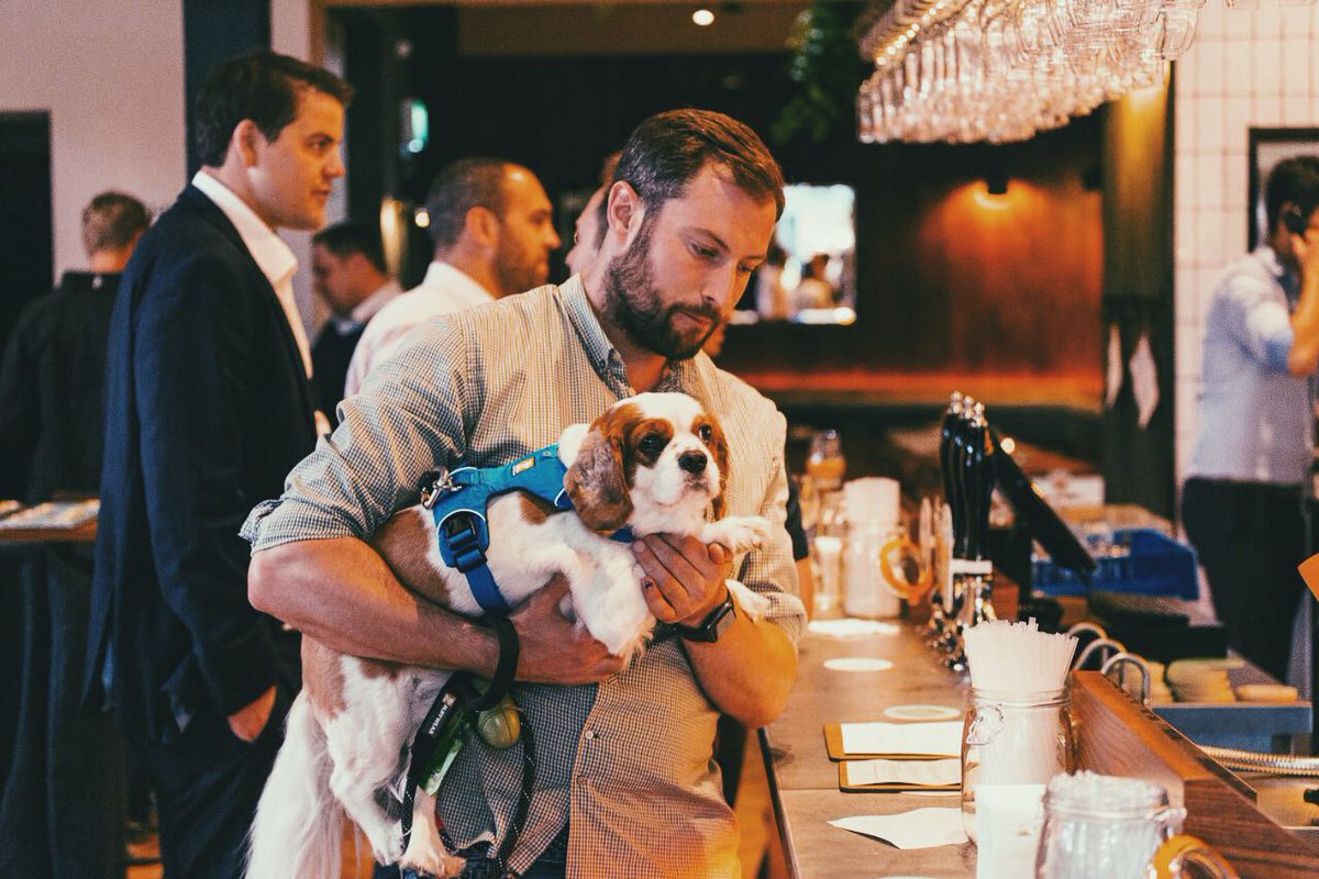 Dogs are always welcome to grab a drink here! Try Snuffle DOG BEER - we've got both chicken and pork flavors for whatever your pup feels like that day!
#dogfriendly #snuffledogbeer #taptavernrichmond #richmond https://t.co/dzZAwwgaA2