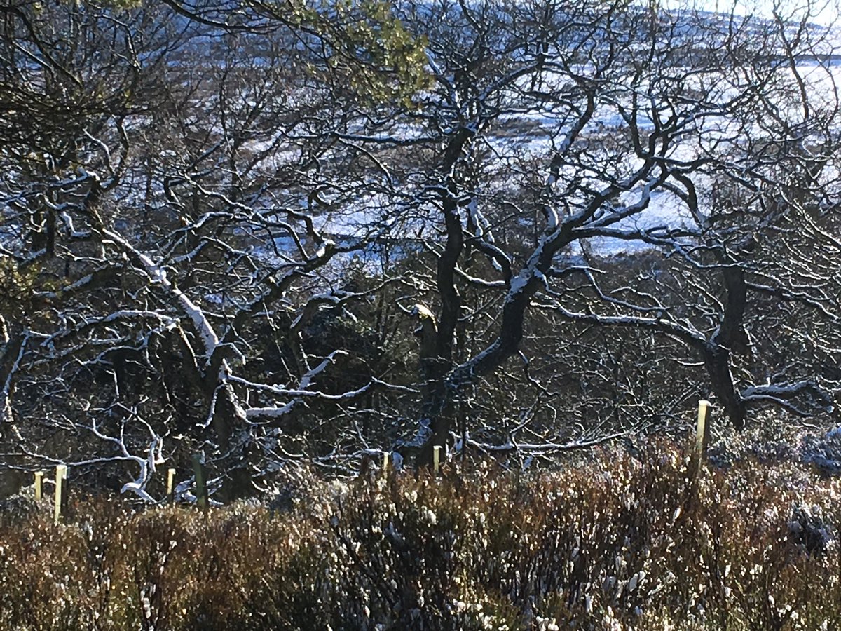 harwescottage's tweet image. Give your soul breathing space - and enjoy access into our 36acre woodland!! #staycations #cottages.com #Valentinesbreak