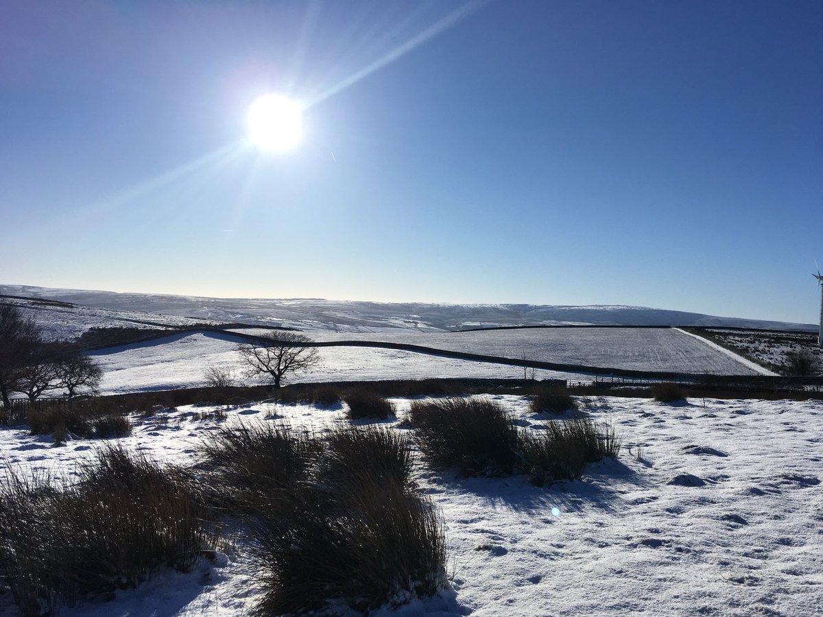 harwescottage's tweet image. Give your soul breathing space - and enjoy access into our 36acre woodland!! #staycations #cottages.com #Valentinesbreak