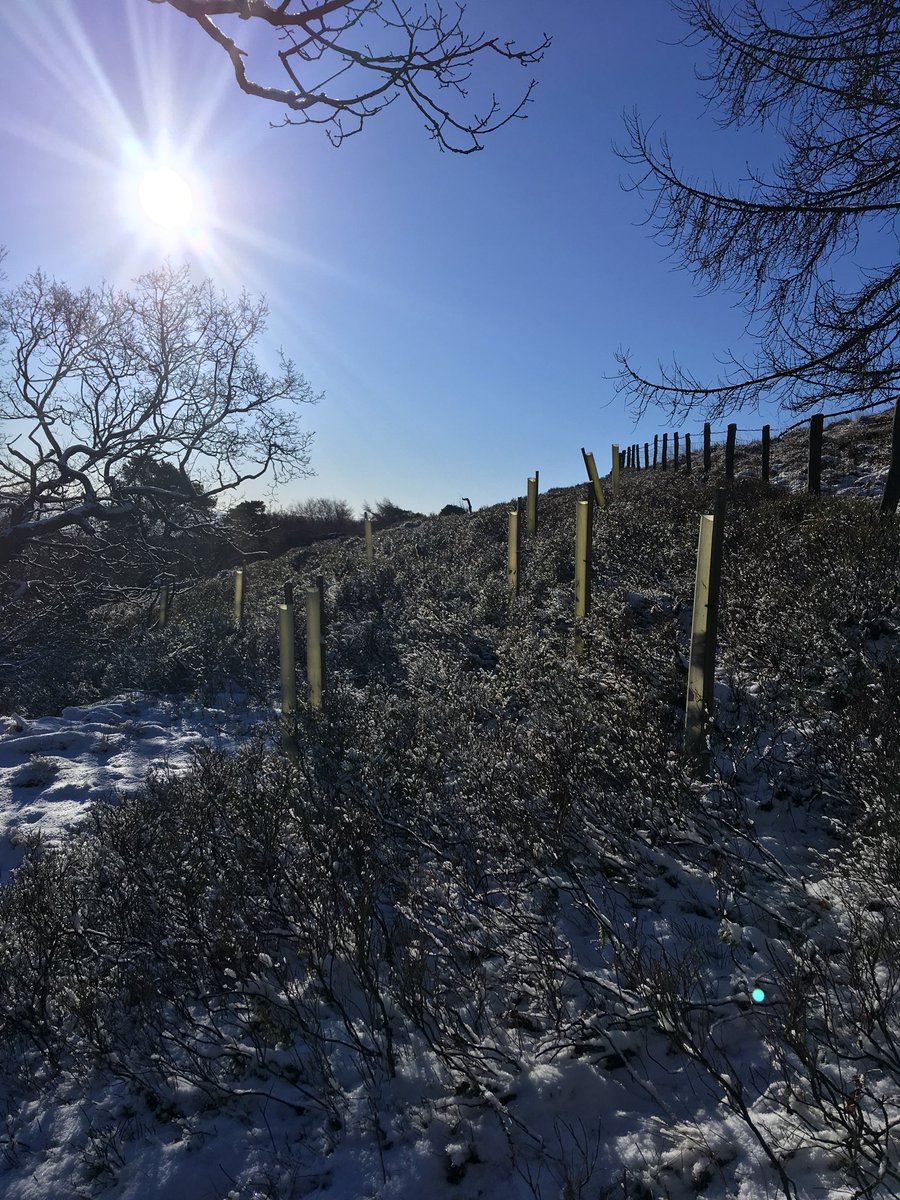 harwescottage's tweet image. Give your soul breathing space - and enjoy access into our 36acre woodland!! #staycations #cottages.com #Valentinesbreak