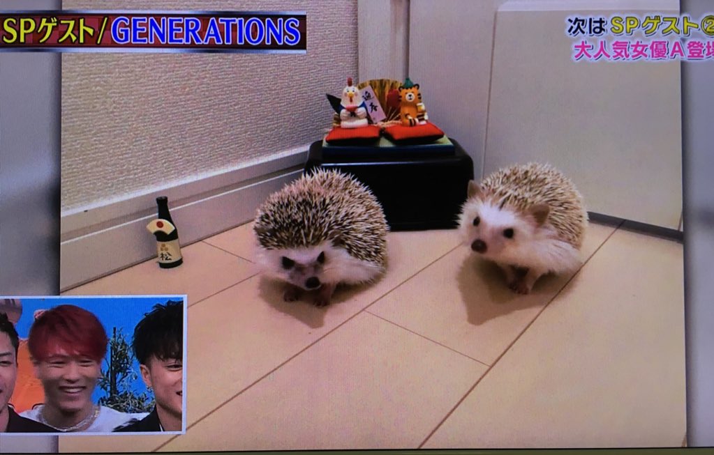 マイロとアルビー マイロとアルビー