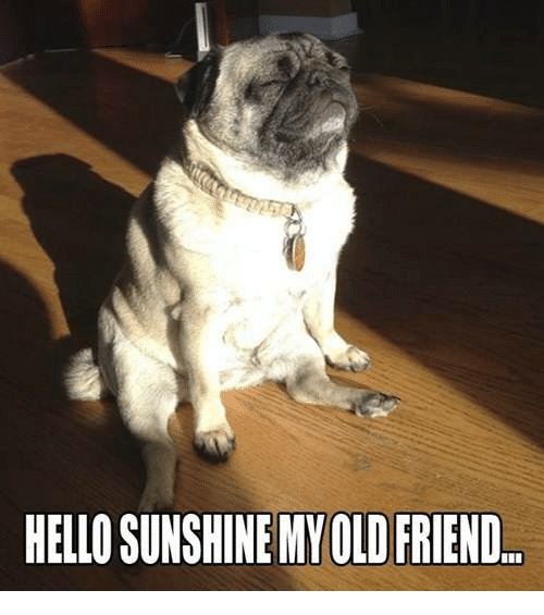 FINALLY! It's sunny in #Manchester