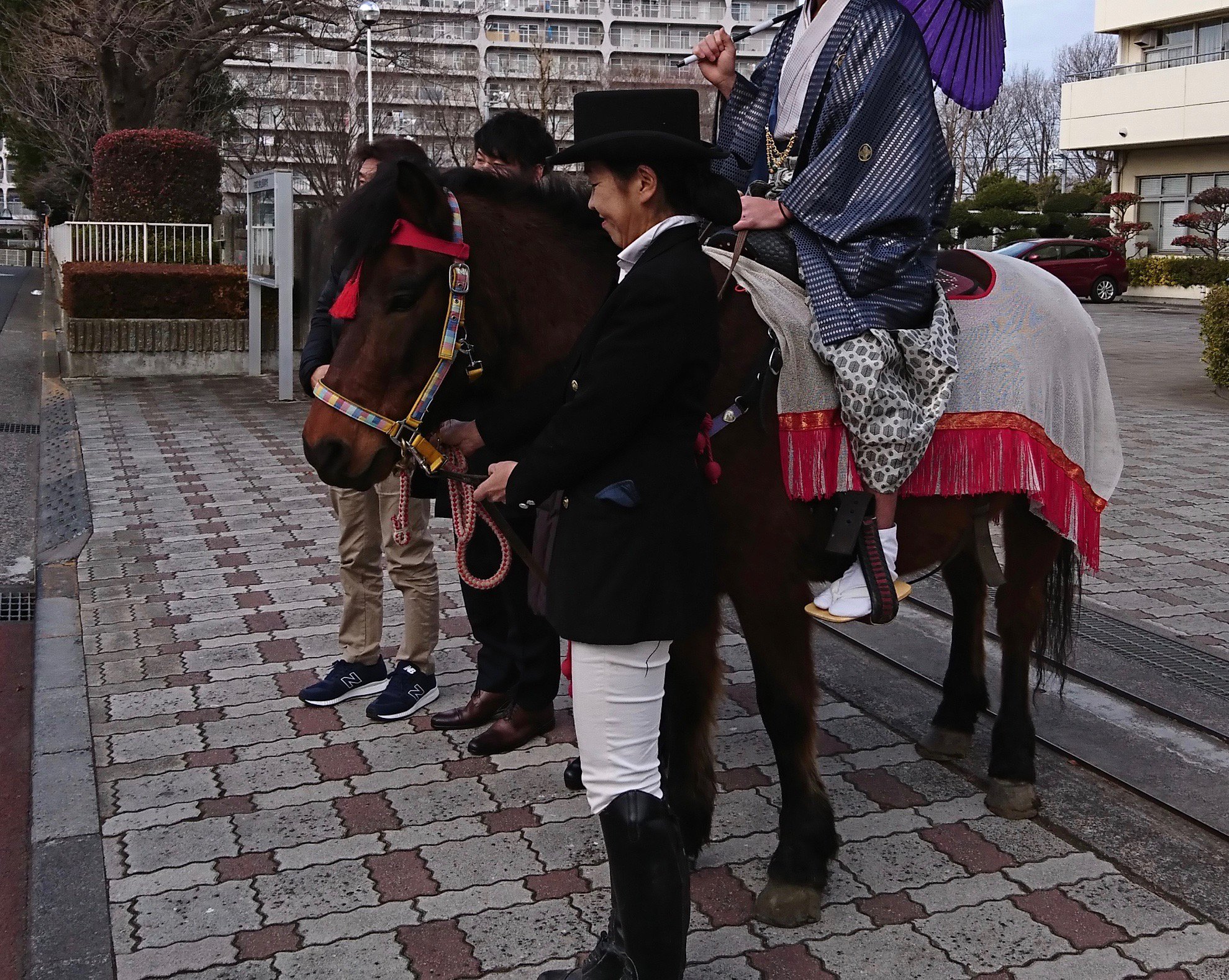 馬と遊ぶ Farm Resort Onjuku 今年の成人式は東村山市の成人式に出張してきました 昨年は中央区 一昨年は桶川市 来年の成人式に馬で 登場したい方はお早めにご相談ください