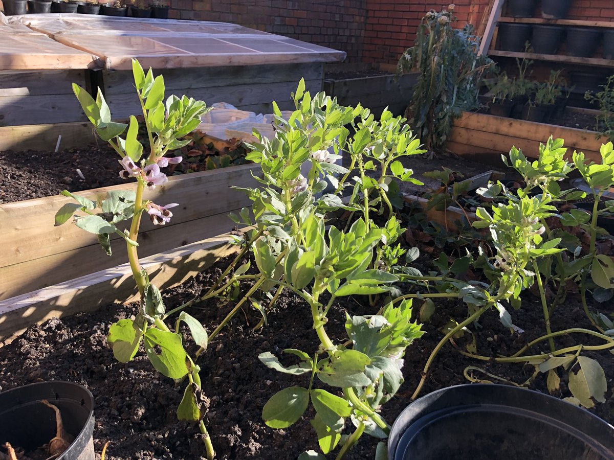 It’s a stunning day to be out in our Community Garden as we prepare for Spring and Summer! 

The Stanley Park Social is a gardening group that meets every Wednesday and is part of our free #RealLifeSocialNetworks programme, find out more here 👇goo.gl/H682kM