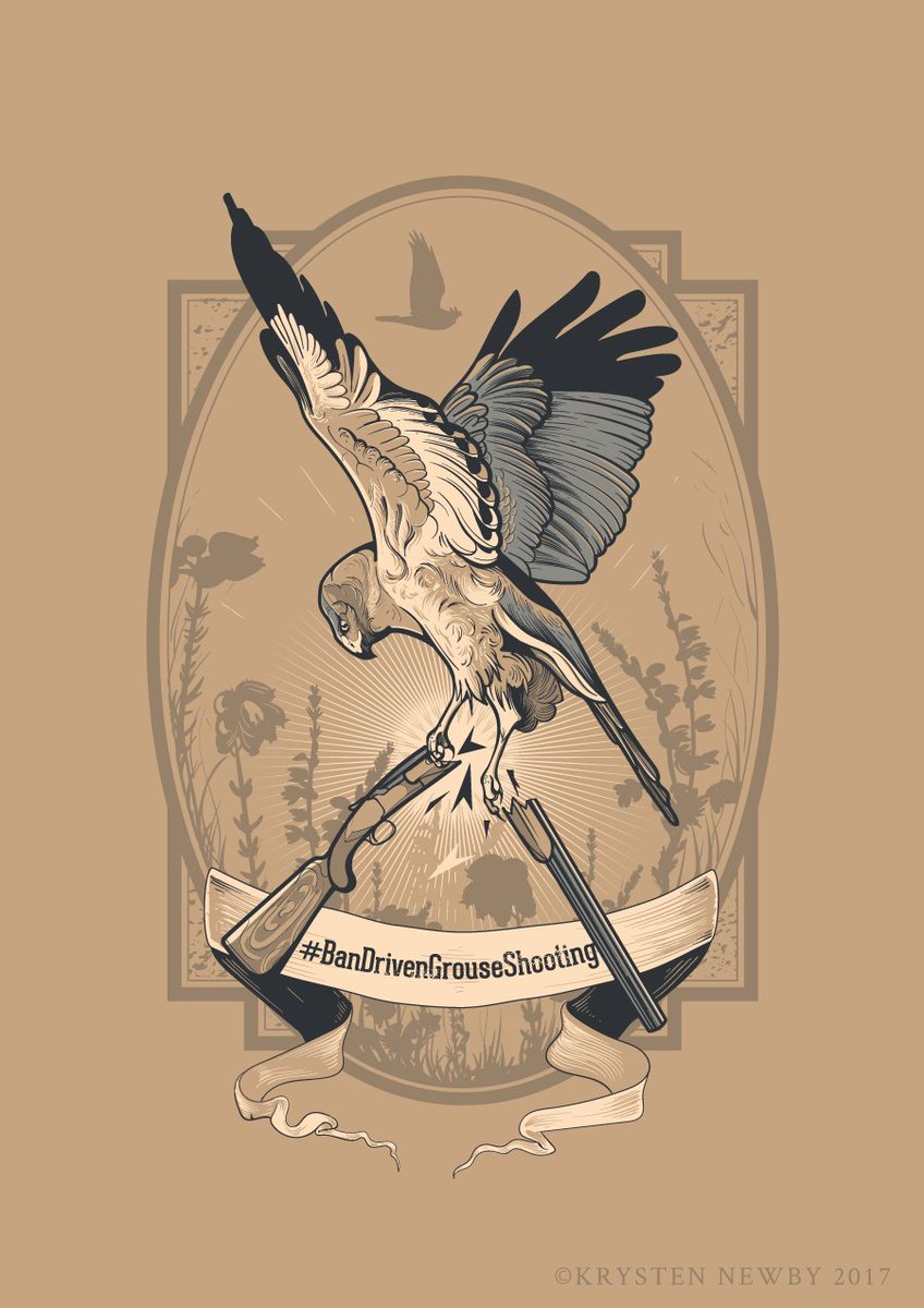 KrysTheCreator's tweet photo. @ChrisGPackham Can you use my artwork for the #BanDrivenGrouseShooting campaign? Don't want anything for it obvs! Just want it put to good use! #StopKillingHenHarriers #SaveOurRaptors #Winterwatch #Illustration #Wildlife https://t.co/UNAa2zD8Qk