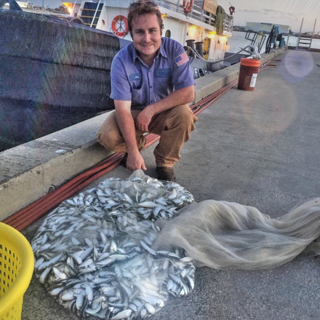 DarynDalton's tweet photo. @Ripples_nibbles pulling in loaded nets.... loaded 😳 Joe not only fills nets but he also makes & sells these fire jigs... If your in the market for any jigs or sea wishes then drop Joe a line & he will hook you up... don’t hold that pun against me😑
#fisheries #fishing #fishapp https://t.co/HCbrOkCuXR