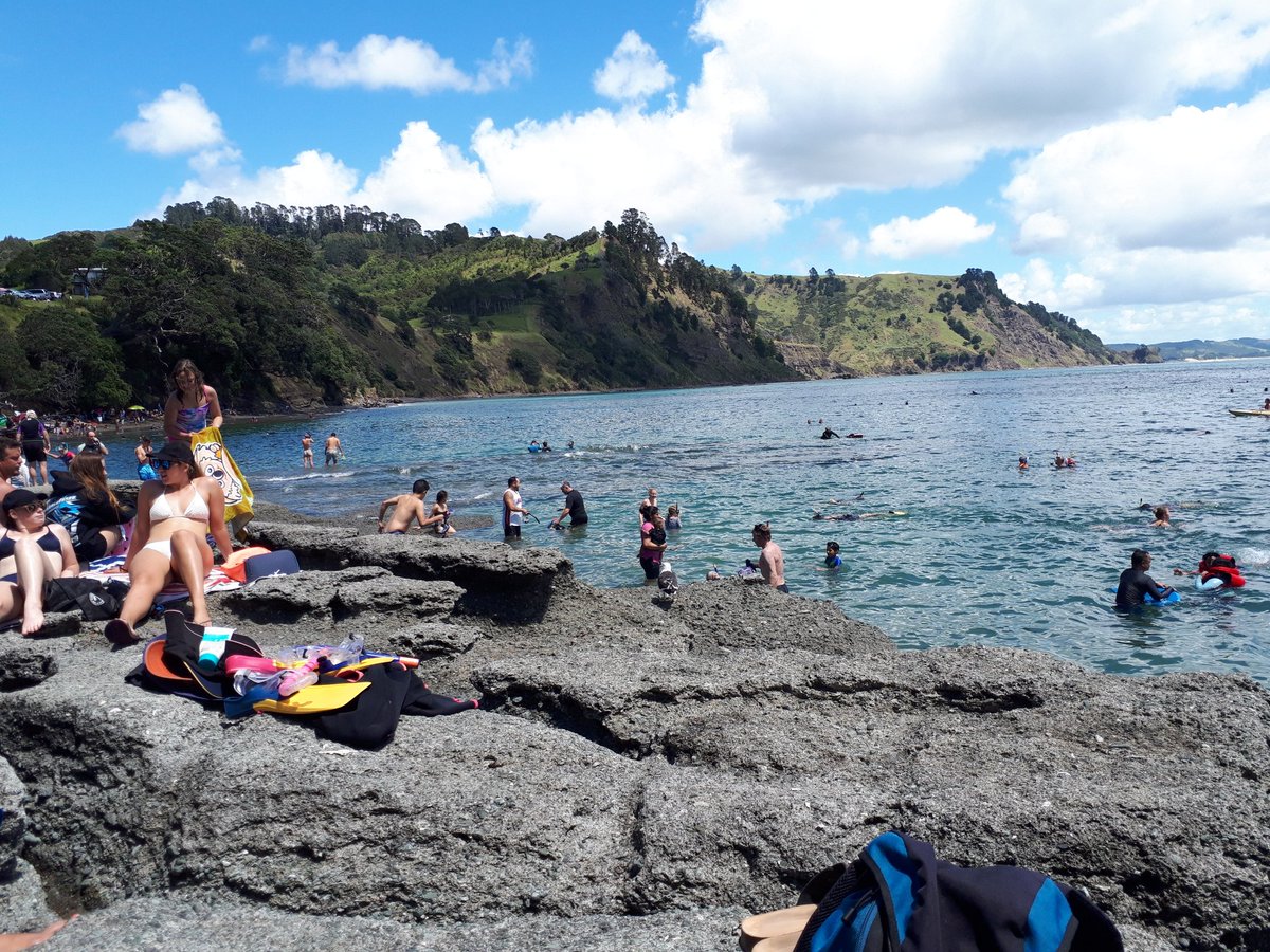 sarun0622's tweet photo. シュノーケリングで魚探すのって釣るより���しいと思った in Goat island https://t.co/c96QlGuvCz