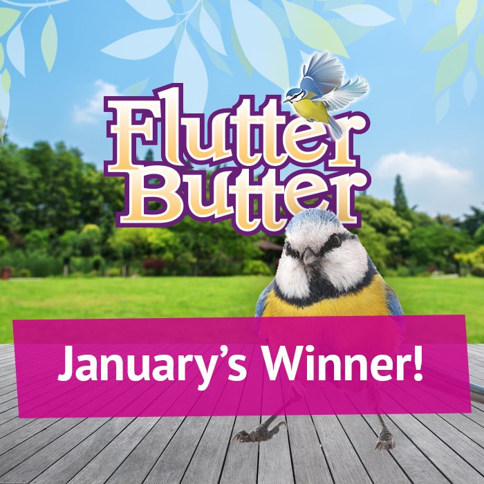 Flutter Butter tweet media