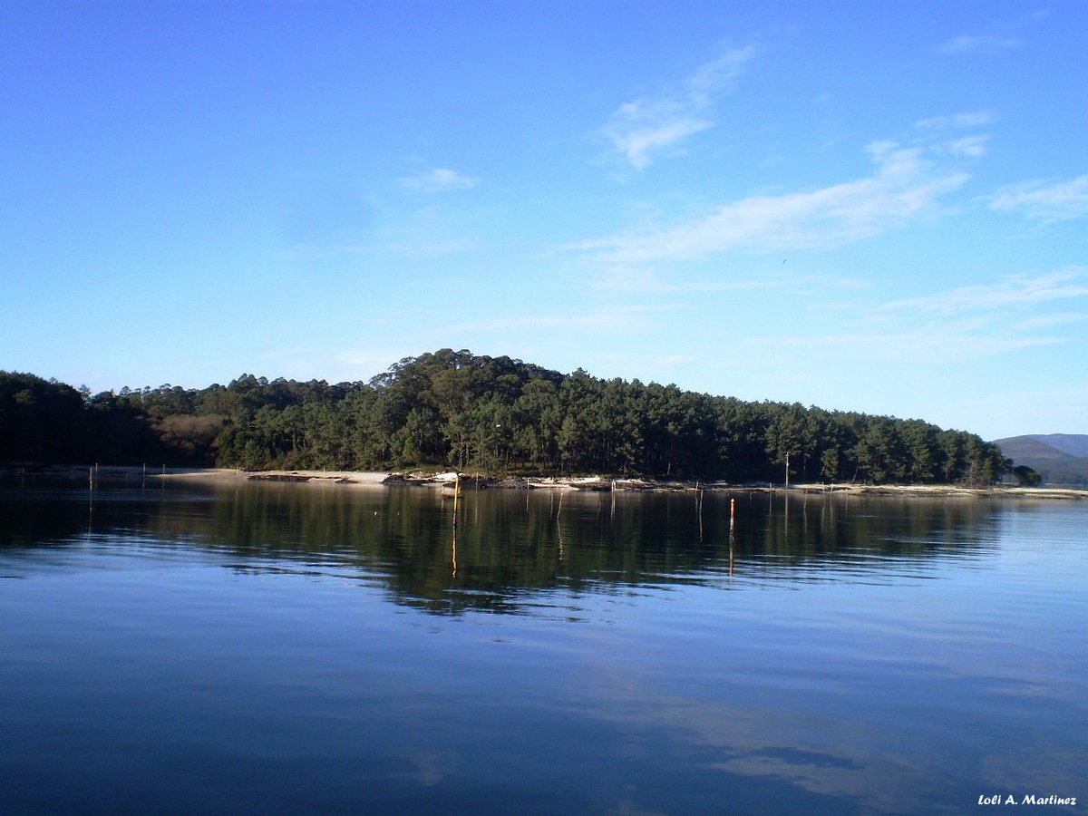 Así estamos en #riasbaixas Cielos bastante despejados, frio y nubes 💙#IlladeCortegada <a href="/TurismoGalicia1/">TurismoGalicia1</a> <a href="/Turgalicia/">Turismo de Galicia</a> <a href="/SecretGalicia/">Secret Galicia</a> <a href="/GaliciaLluviosa/">Descubriendo rincones gallegos y no gallegos!!!</a> <a href="/presumeDgalicia/">Presume de Morriña</a> <a href="/puestadesolvigo/">PuestadesolVigo</a> <a href="/ilovegalicia/">I Love Galicia</a> <a href="/IslasAtlanticas/">#IslasAtlánticas </a> <a href="/IsladeCortegada/">Isla de Cortegada</a> 💧❄️