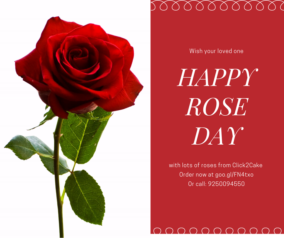 Click2Cakecom's tweet image. Roses are perfect to show your feelings to someone. Send roses to your loved ones and feel him/her happy.
#click2cake #roseday #valentinespecial
Visit to order goo.gl/FN4txo