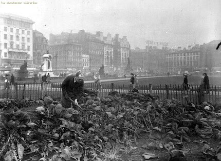 Displaying to the folks of Manchester’s Piccadilly Gardens how you grow and keep your allotment in 1947 #allotment #gardening #manchester #manchesterpast #photography #piccadilly #past #history #veg