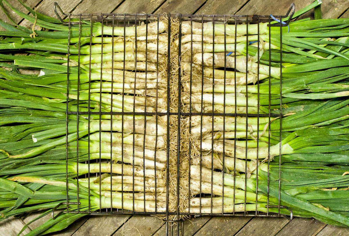Ens arriba una nova proposta de menú calçots per part d'Atlàntida Bar Restaurant Vic! Nyam!

Per només 25€/persona!
Més informació: bit.ly/2GUXmGt

osonateca.com #osonateca #tastaosona #nyam #salutiteca #osona #bars #restaurants