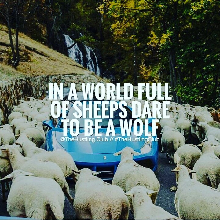 develop_app_'s tweet image. #business