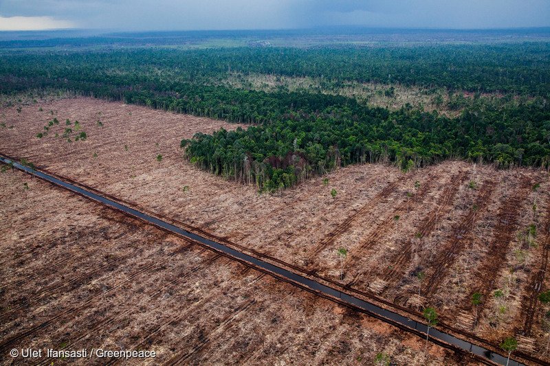 GreenpeaceEU's tweet photo. 2013: EU Parliament asked the EU Commission for a #NoDeforestation plan in #7thEAP 🌲🌳

2017: Parliament asked the Commission again in its vote on palm oil &amp; #deforestation 🌴

2018: STILL no plan from @jyrkikatainen, @TimmermansEU &amp; @KarmenuVella

📰: https://t.co/kC5fquuy3H https://t.co/UH2TvUc7OZ