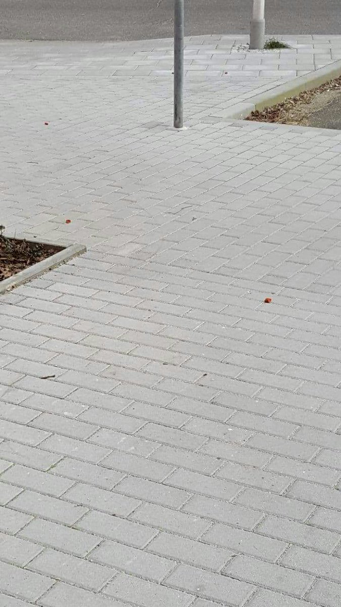 AfaCottbus's tweet photo. !Achtung-Vorsicht! 
In #Cottbus-#Sandow sollen, einem Facebookbericht zufolge, heute wieder #Giftköder ausgelegt worden sein. Diesmal wohl auch mit Reißzwecken (siehe Bild).  #PETA #Antispeciesism #Antispeziesismus
(unverifizierte Meldung) https://t.co/BwVuZn92SP