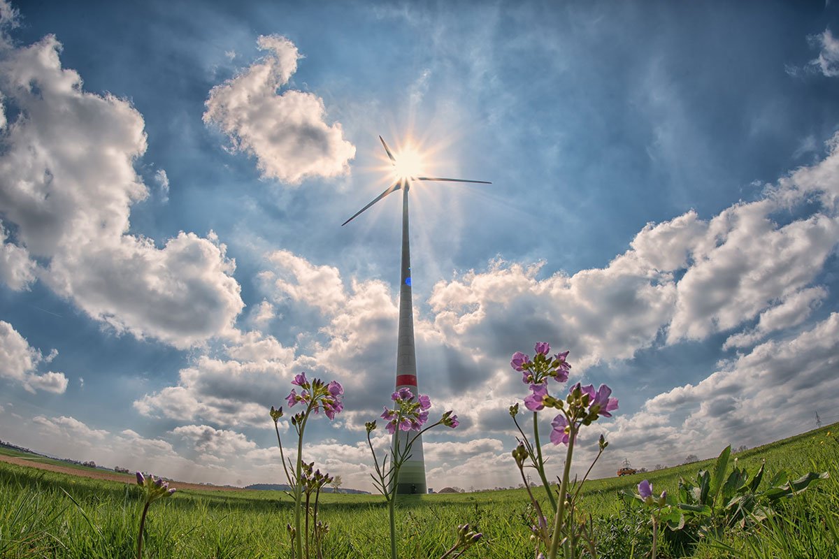 WindEuropeEvent's tweet photo. WindEurope CEO tells industry stakeholders: investment costs are coming down in on- and offshore wind! Read more: https://t.co/bMr1fZp9zZ https://t.co/pYvIOf1lwR