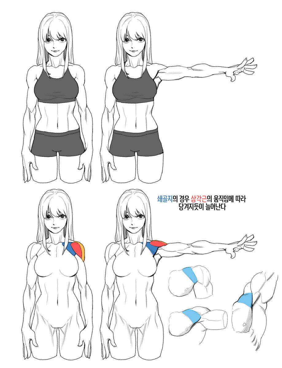 삼각근 튜토리얼 수업용으로 만드는중..(주륵 