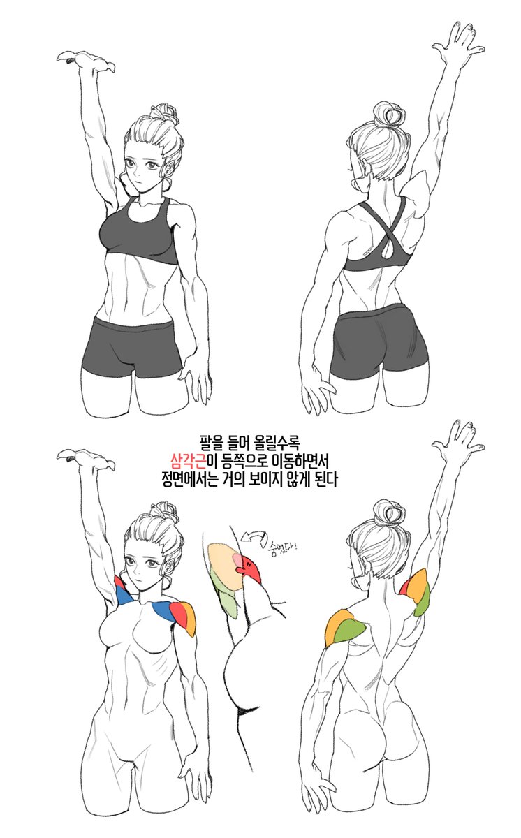 삼각근 튜토리얼 수업용으로 만드는중..(주륵 